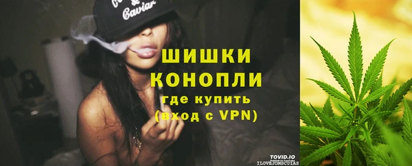 амф Белокуриха