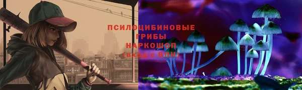гидра Балахна