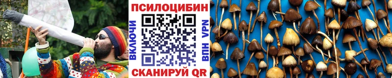 blacksprut ТОР  Жуков  Галлюциногенные грибы Magic Shrooms  купить  