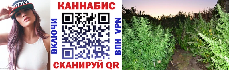 KRAKEN онион  Жуков  Каннабис LSD WEED 